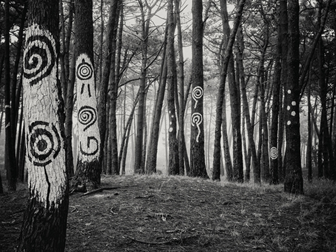 La belleza de la huella