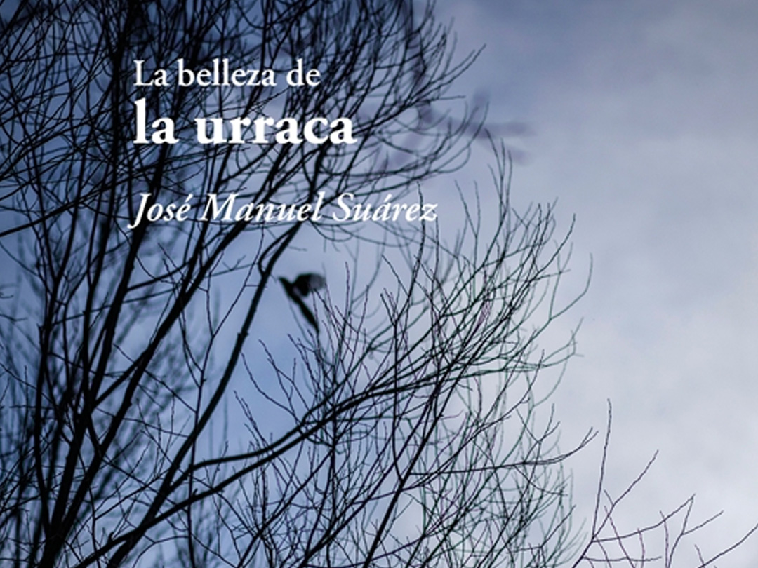 La belleza de la urraca