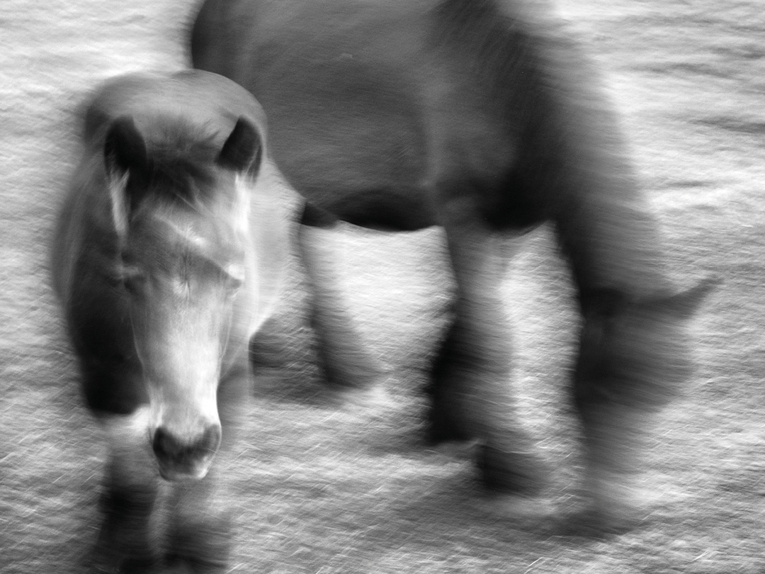 La belleza de lo bienaventurado