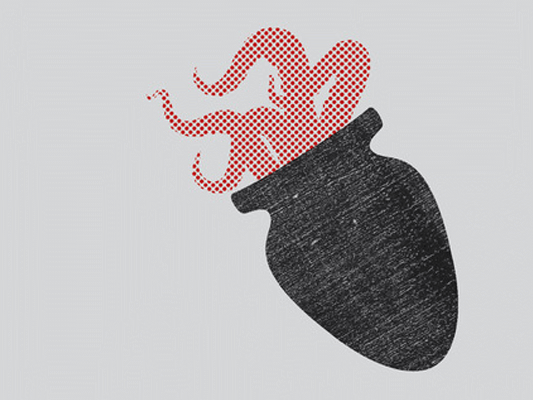 Cómo lavar un corazón - Bhanu Kapil