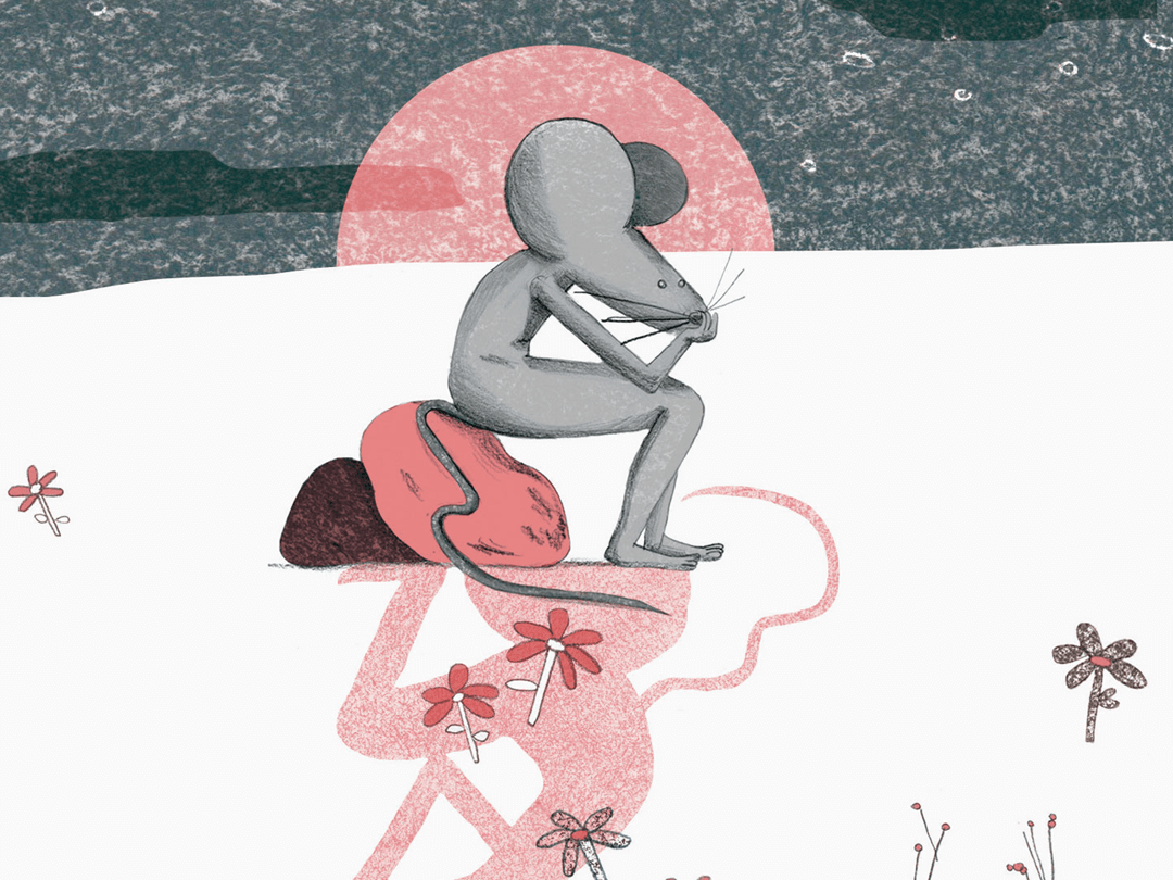 Ramona Ratona Rotonda - Miguel Rojo